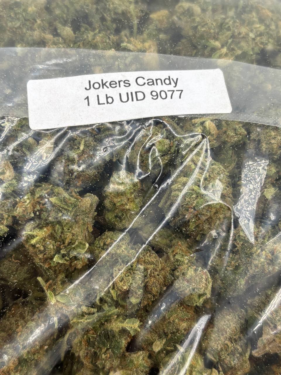 •$549/599 #GG140 - Joker Candy - Image 2