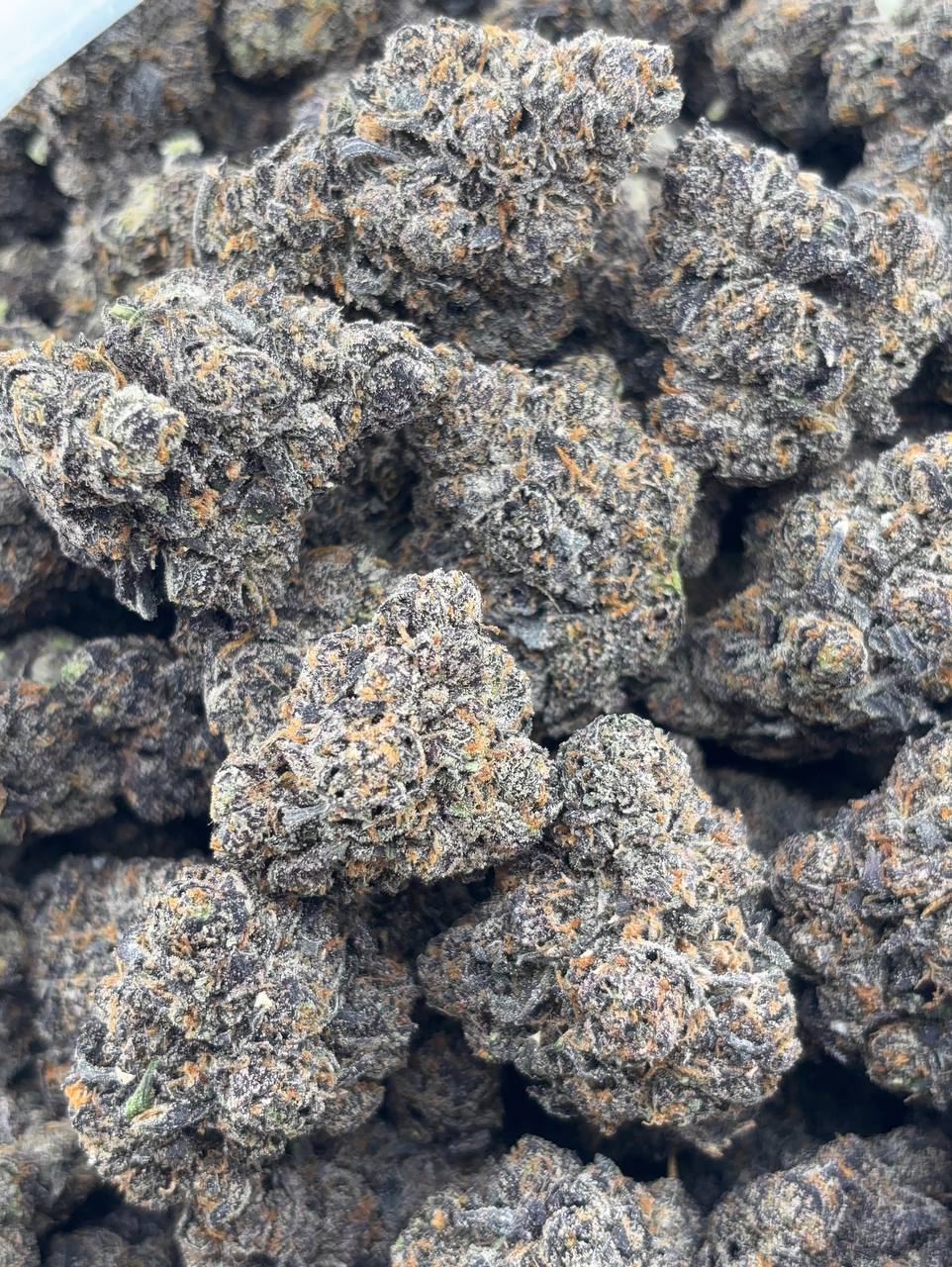 •$1275/1325 #GG142 - Candy Runtz