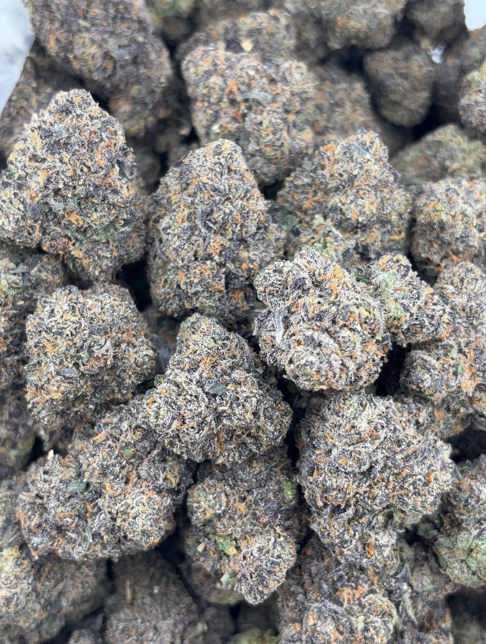 •$1225/1275 #GG154 - ADL Runtz