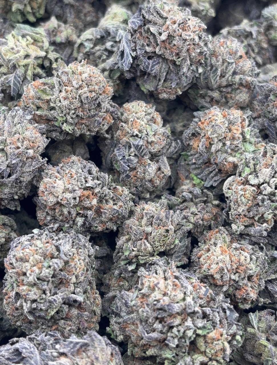 •$825/875 #CK378- Candy Crush