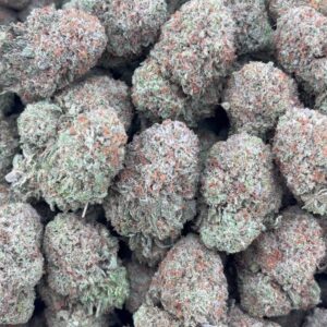 •$849/899 #GG166- indoor bubba