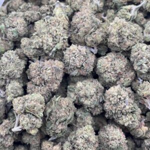 •$549/599 #GG174 - Garlic Banana