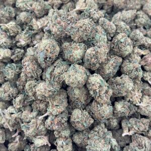 •$549/599 #GG178 - Rascal OG