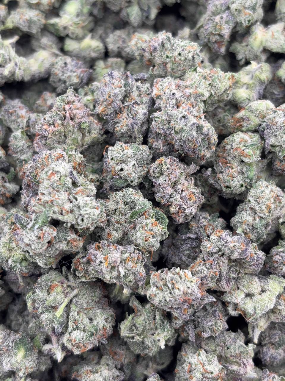 •$899/949 #GG182 - Grape Fanta