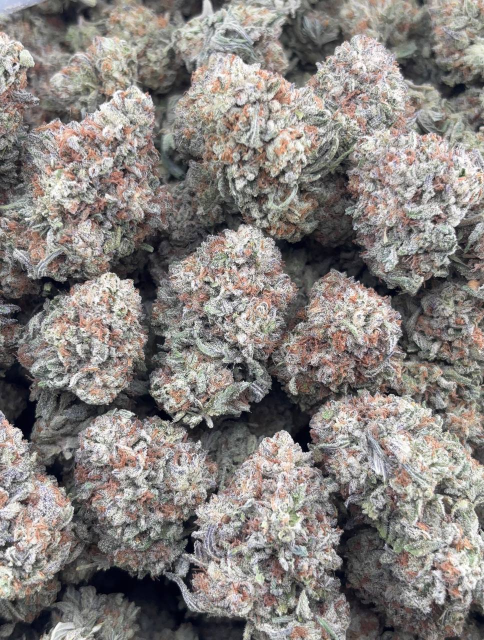 •$749/799 #GG208 - white berry truffle