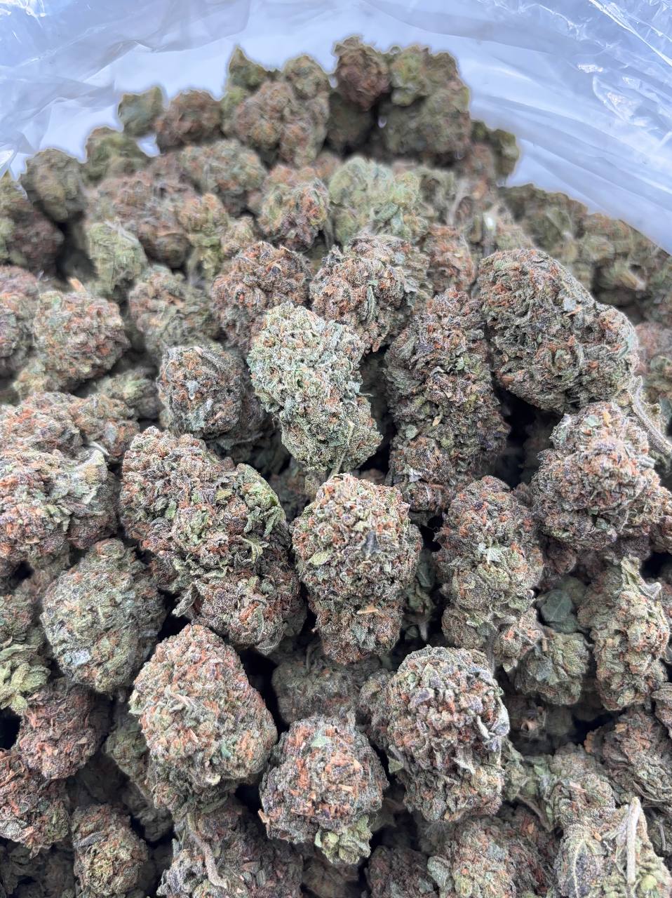 •$725/749 #GG222- Grape Candy