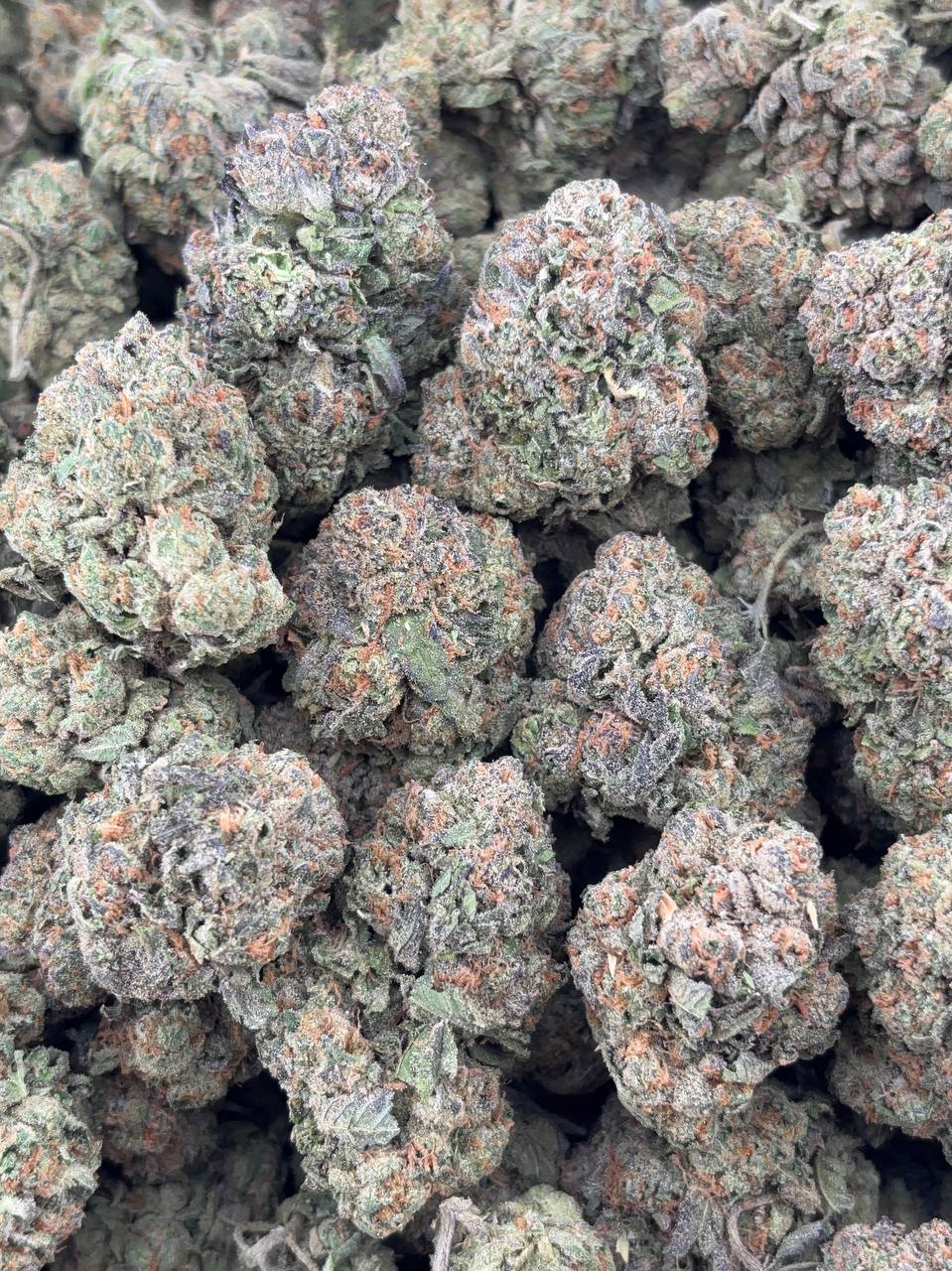 •$775/799 #GG224 - Zlushie Supreme
