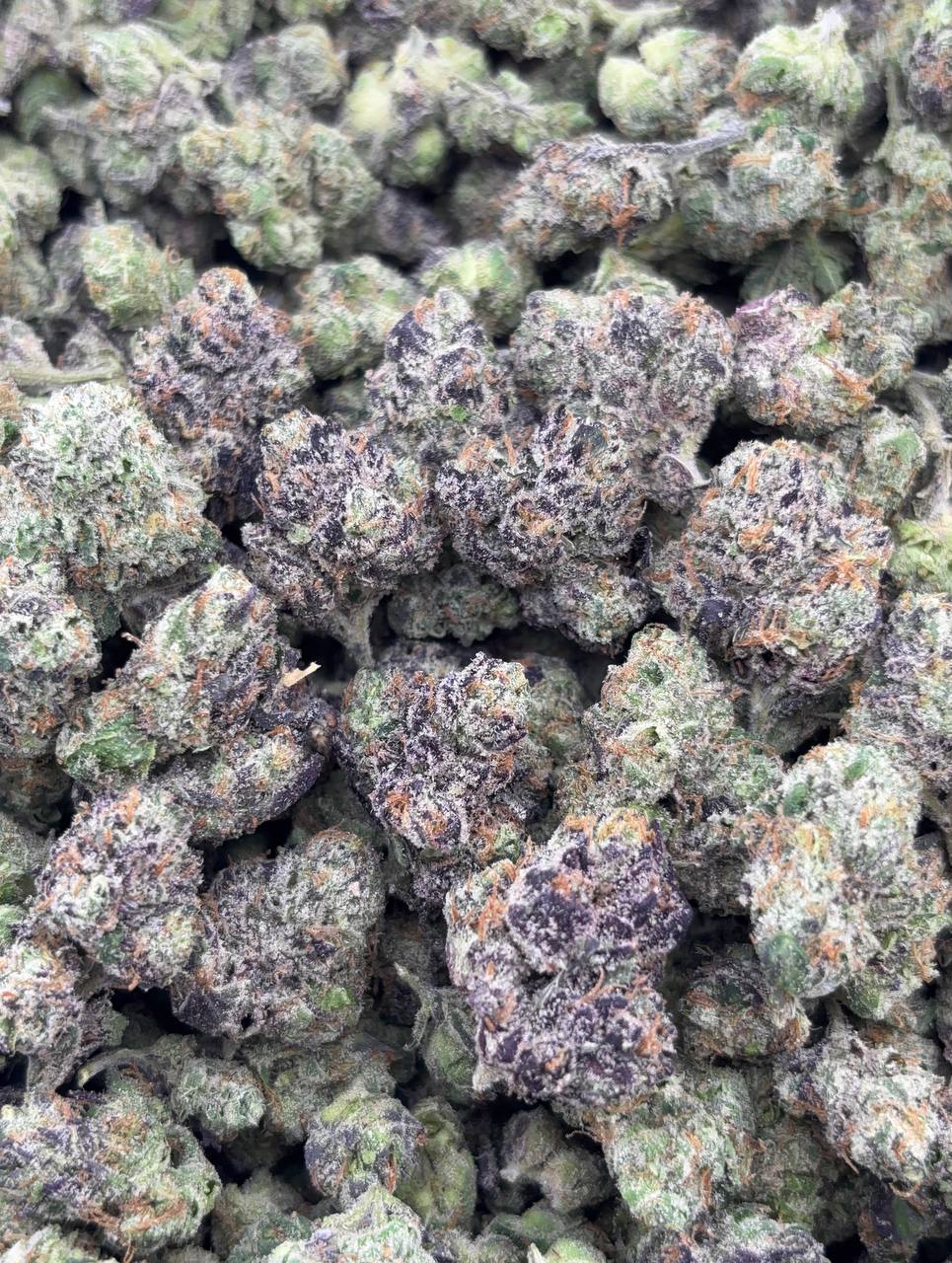 •$1010/1050 #GG236 - Sticky Candy skittles