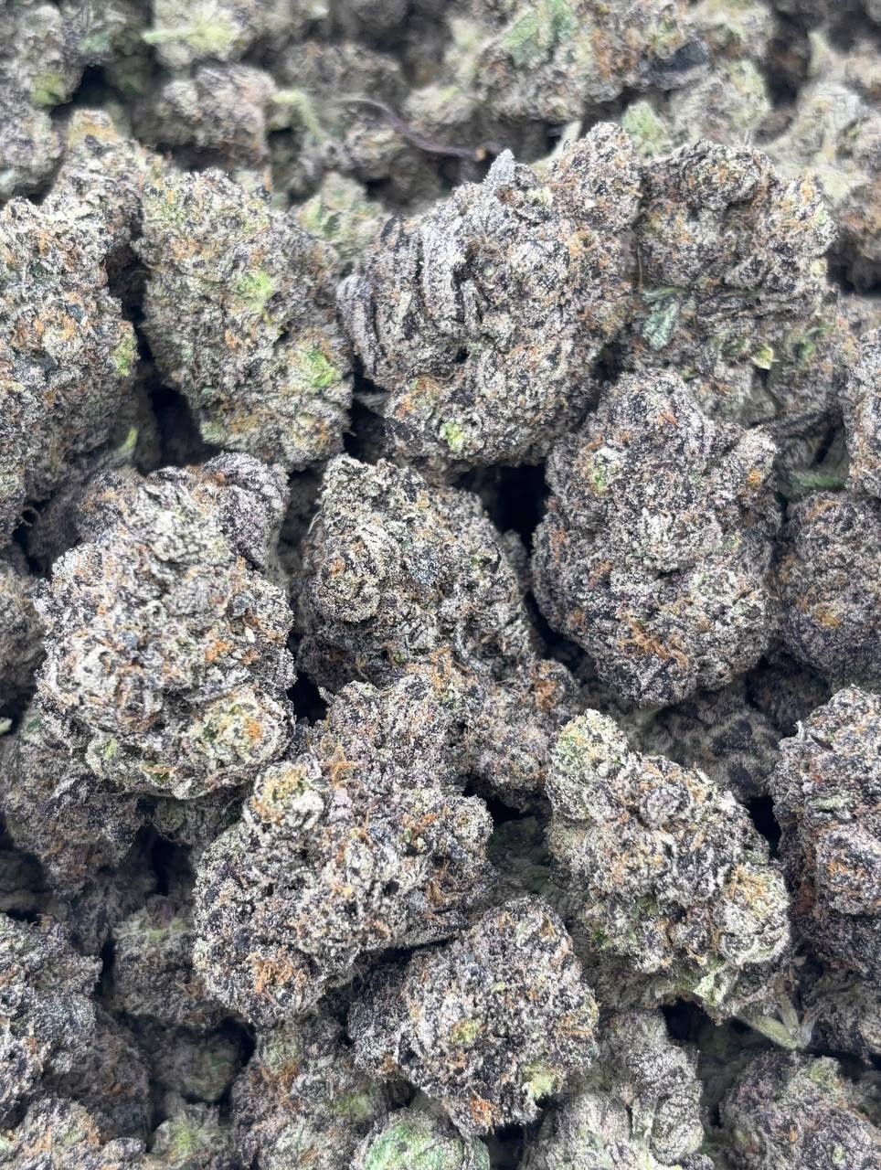 •$1299/1325 #GG240 - Za Yuzu Gelato