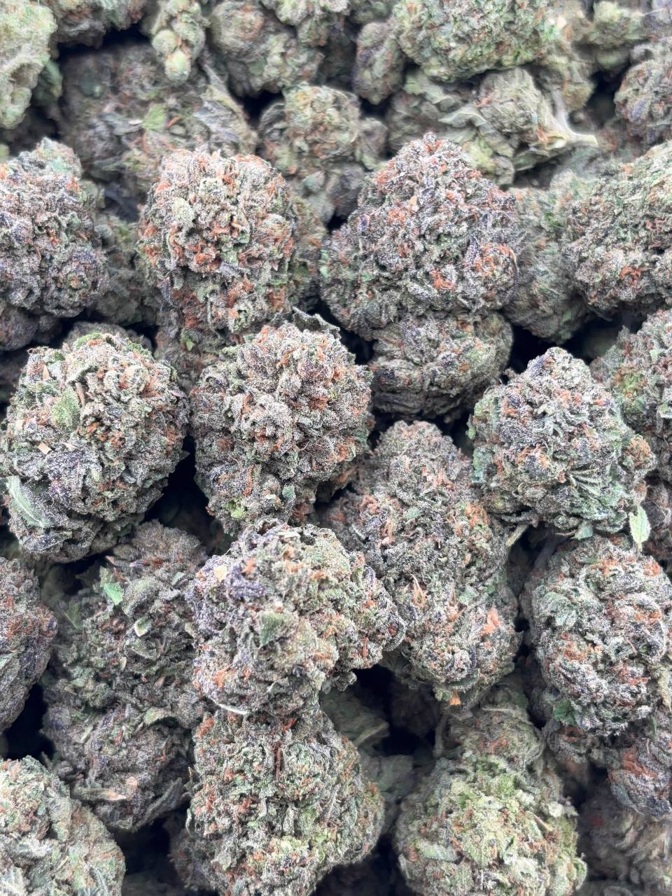 •$799/825 #GG244 - Lemon cherry gelato