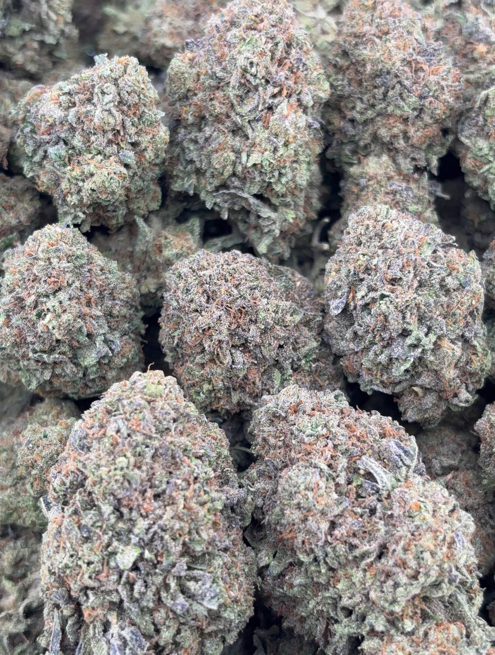 •$749/775 #GG248 - Gelato Cake