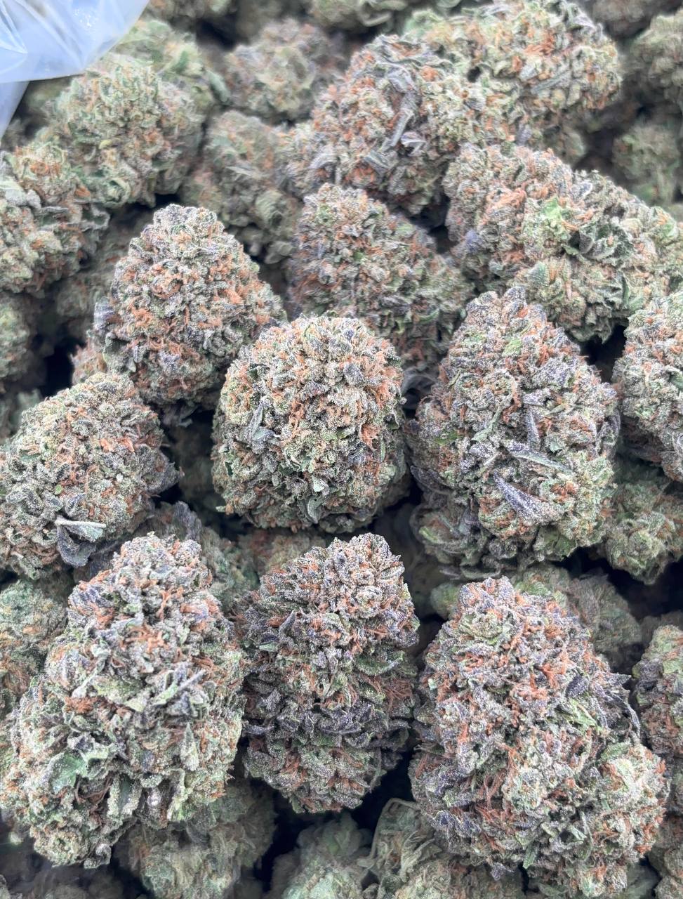 •$790/830 #GG274 - Crunch Berry