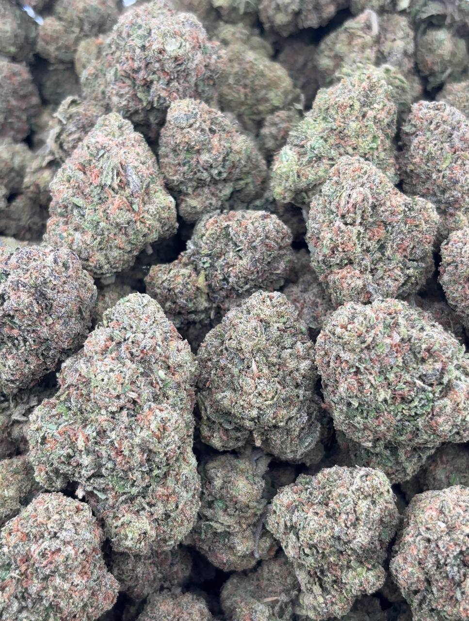 •$780/820 #GG278 - Bubble gum “candy “