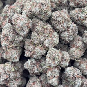 •$649/699 #GG396 - lemon cherry gelato