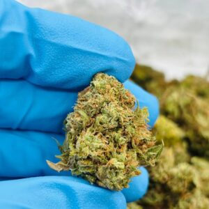 •$549/575 #GG406- Cherry boom