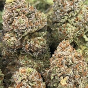 •$925/975 #GG428- Indoor bubba