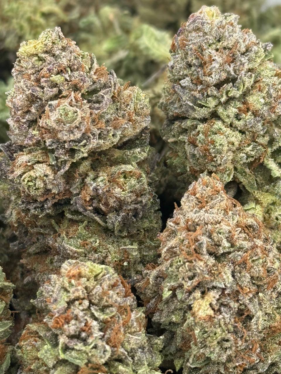 •$925/975 #GG428- Indoor bubba