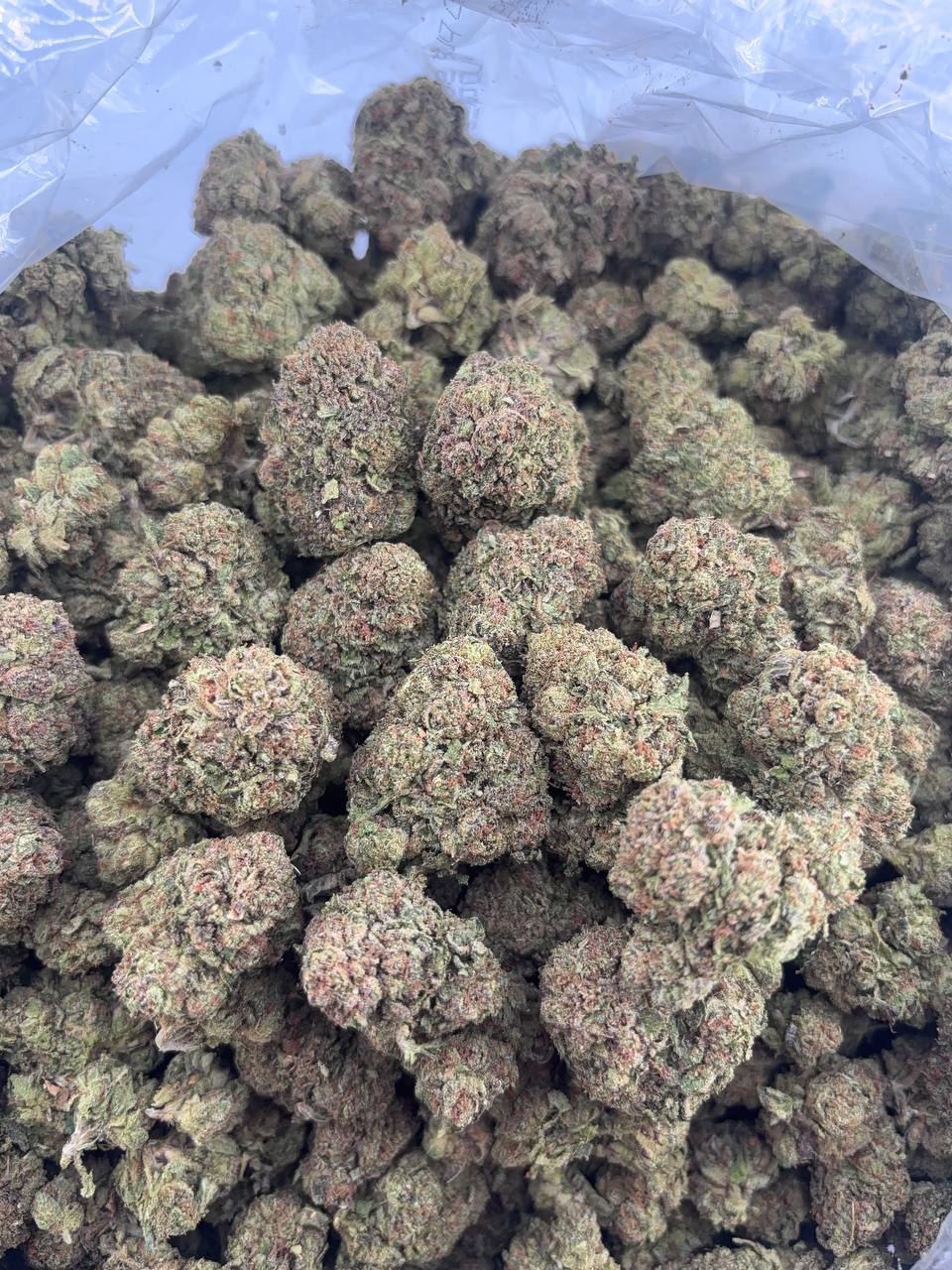 •$675/700 #GG562 - Lemon cherry gelato
