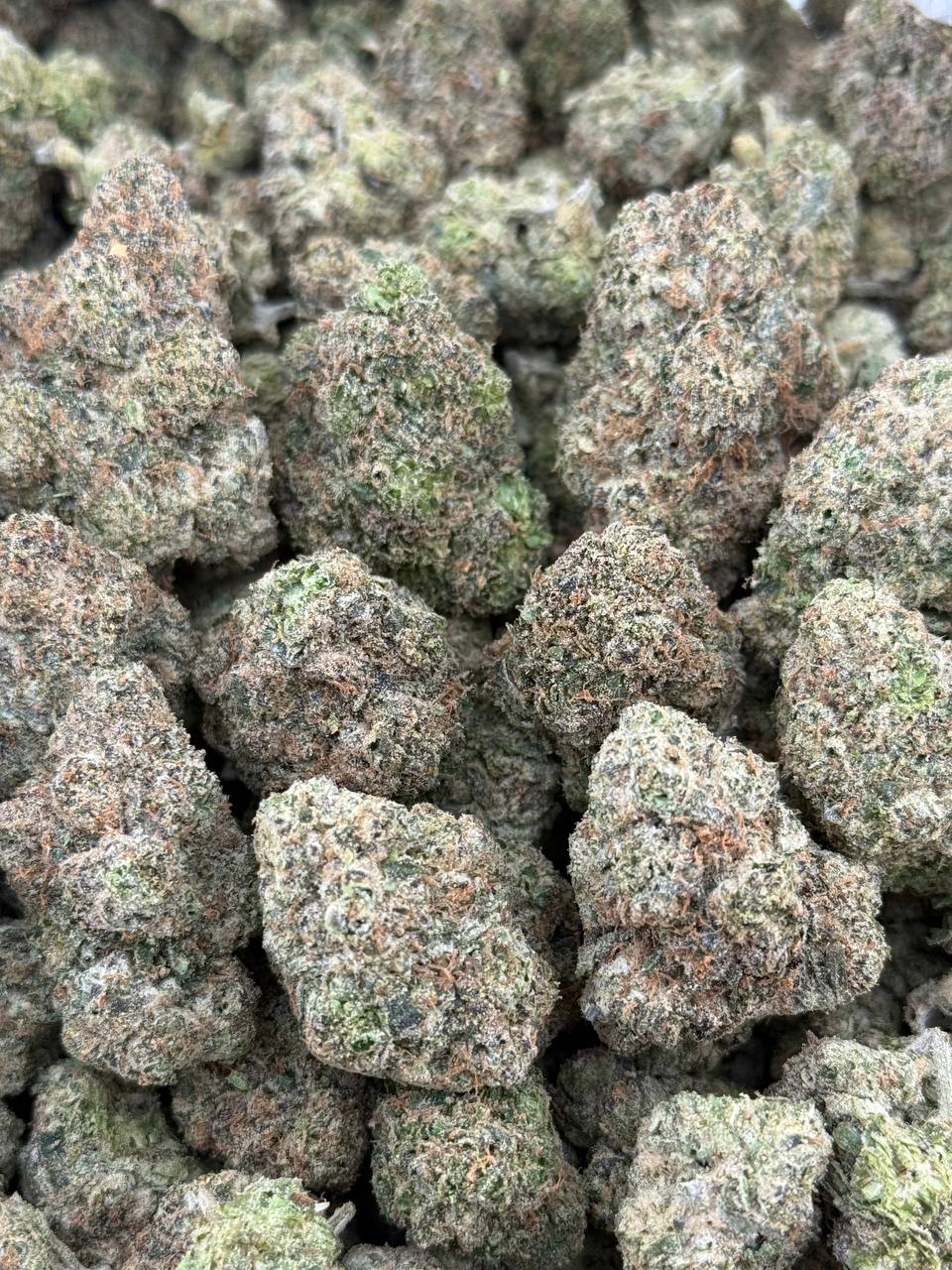 •$899/949 #GG580 - Cotton Candy (NO ADDITIONAL PROMO)