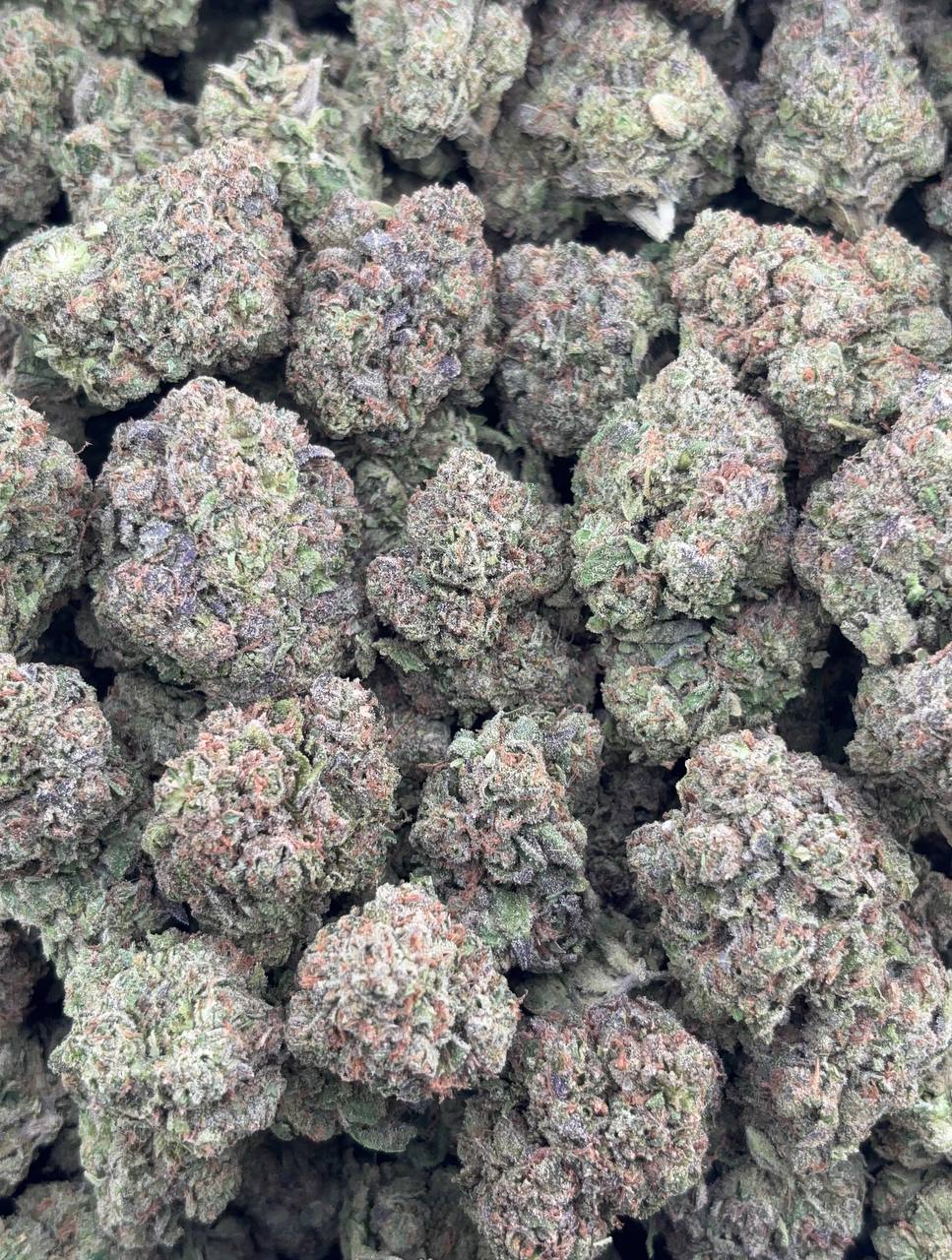 •$650/675 #GG584 - Lemon cherry Gelato