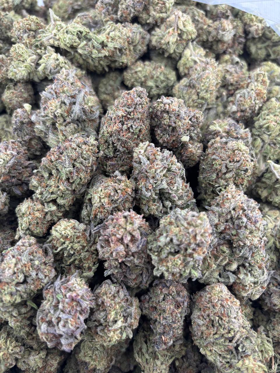 •$599/625 #GG588 - Rainbow Truffle