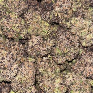 •$1199/1225 #GG592 - Super polo Gelato
