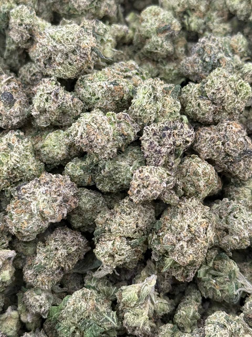 •$749/799 #GG602 - Rainbow Mochi(NO ADDITIONAL PROMO)