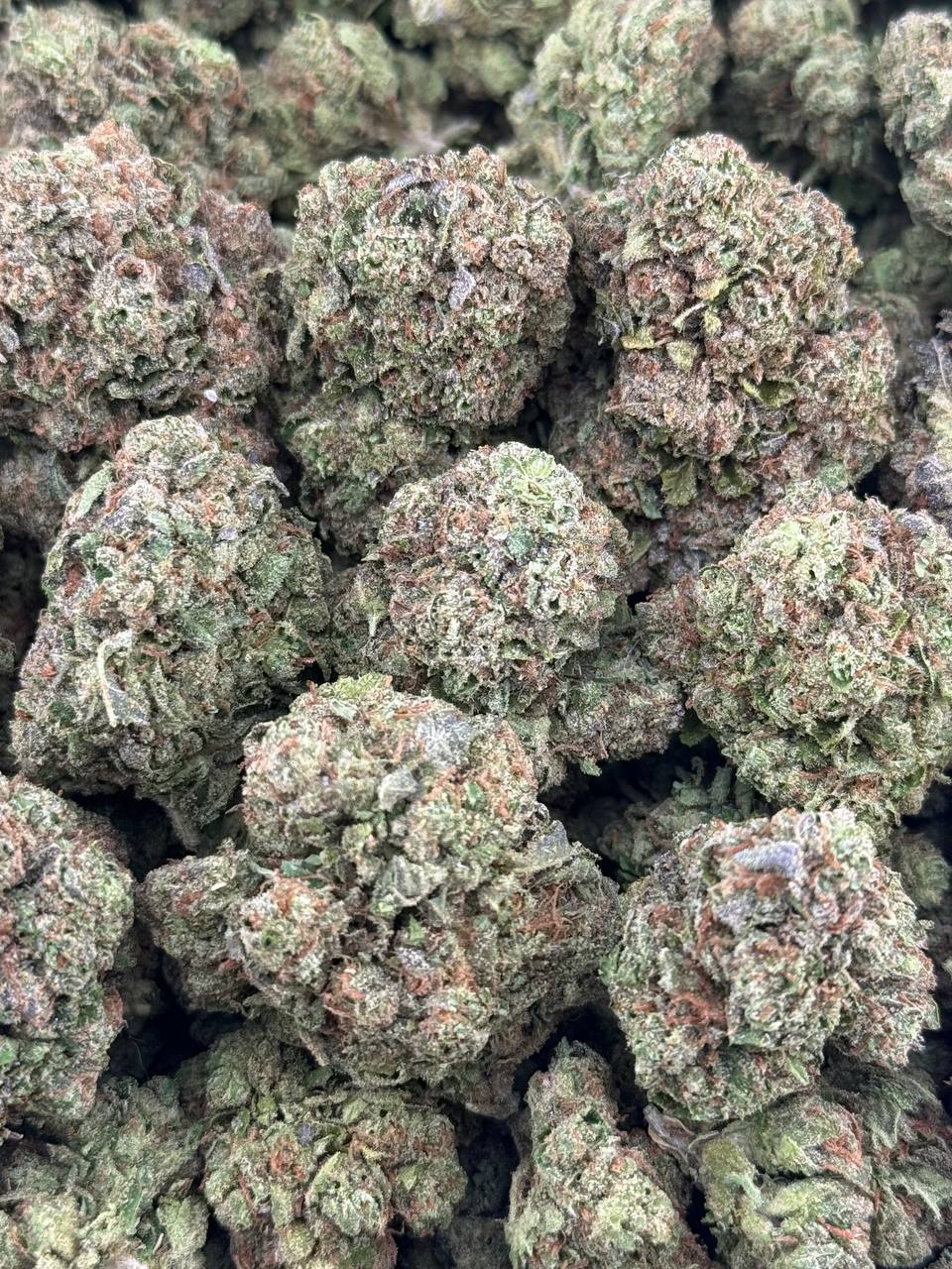 •$624/674 #GG606 - Candy Gas