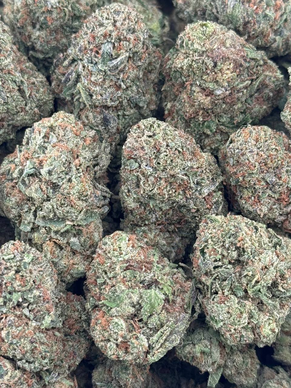 •$660/710 #GG608 - sticky candy skittles