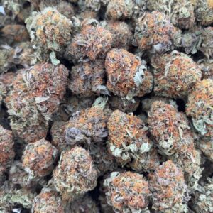 •$725/750 #GG610 - Indoor bubba