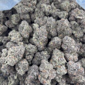 •$1300/1350 #GG662 - Double Warheads