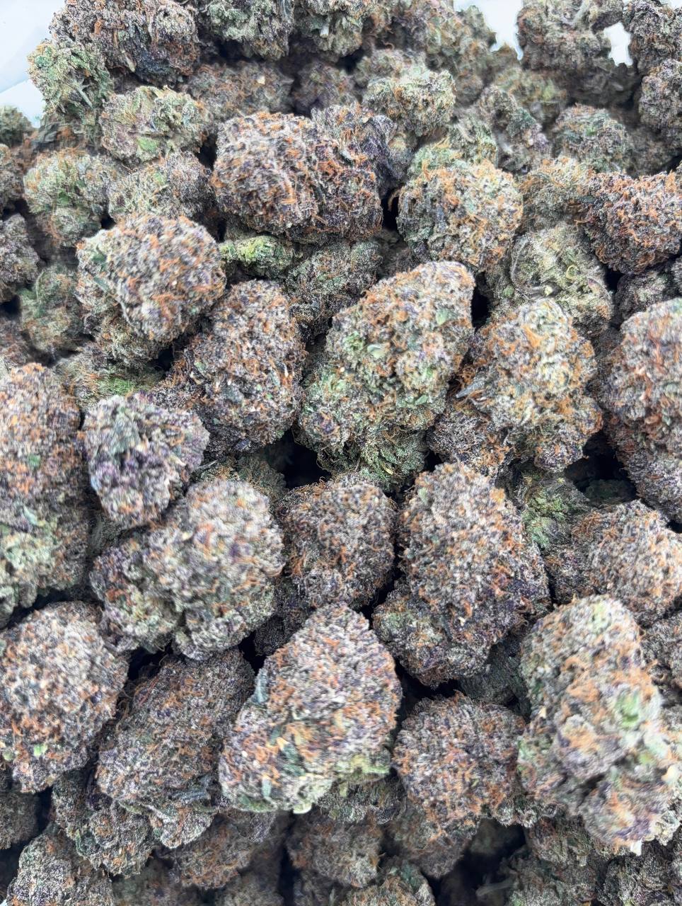 •$975/1025 #GG666 - Candy Crush (no additional promo)
