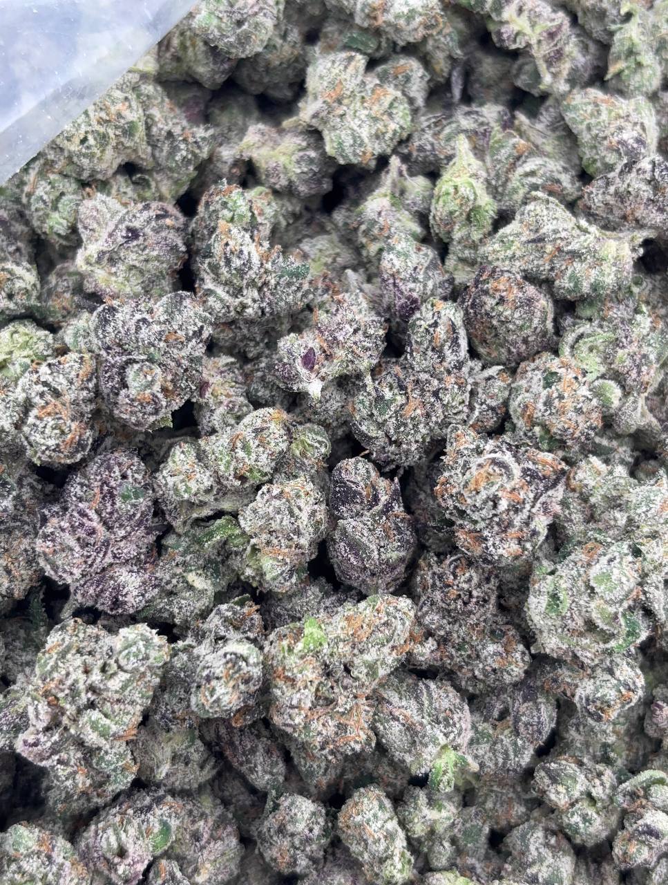 •$925/975 #GG668 - Sticky Candy skittles