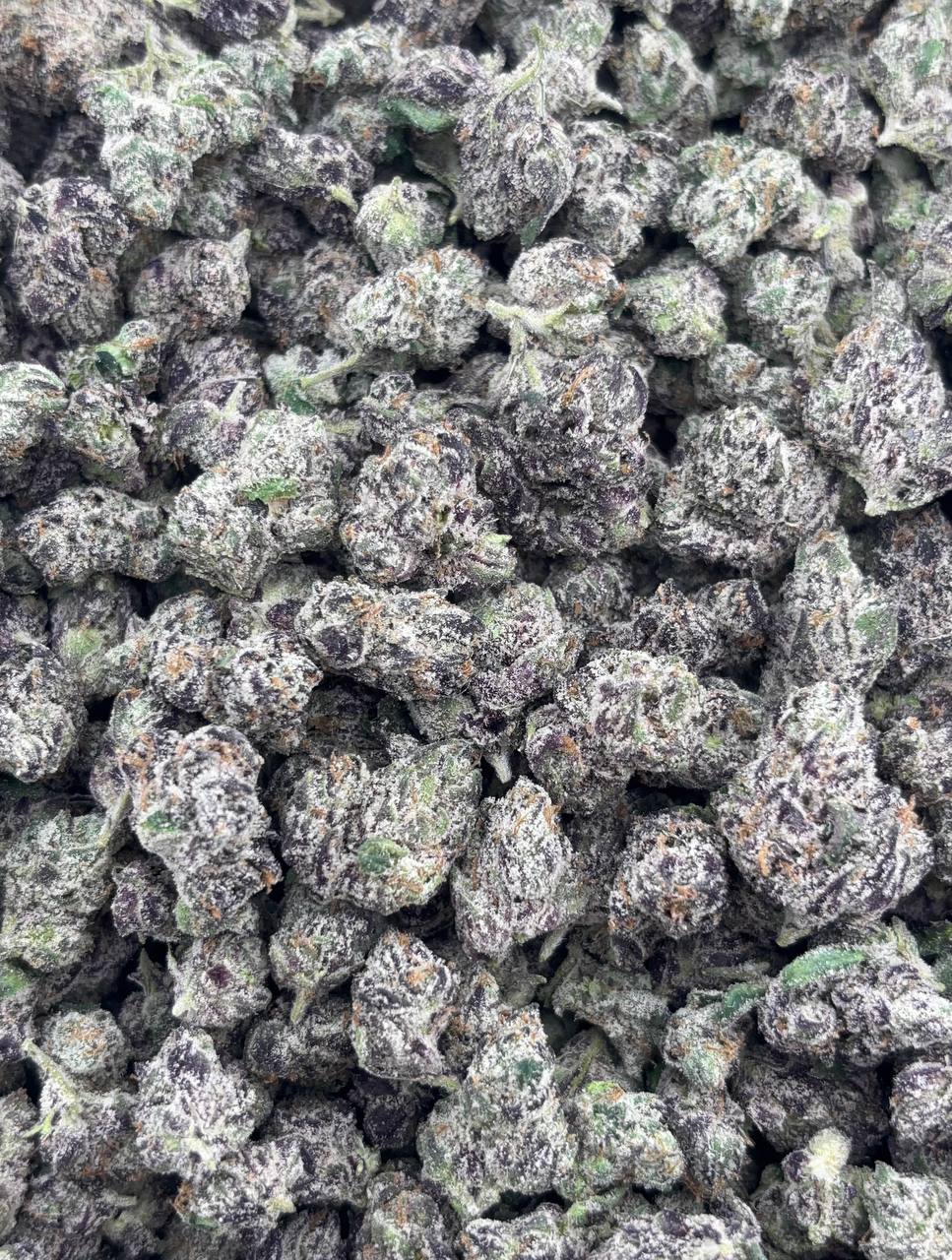 •$950/1000 #GG670 - Melon slush