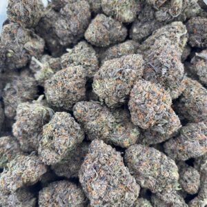 •$1025/1050 #GG672 - Candy Runt
