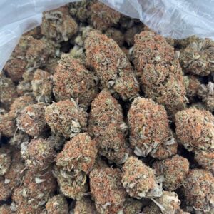 •$675/699 #GG678 - Orange bubba (NO ADDITIONAL PROMO)