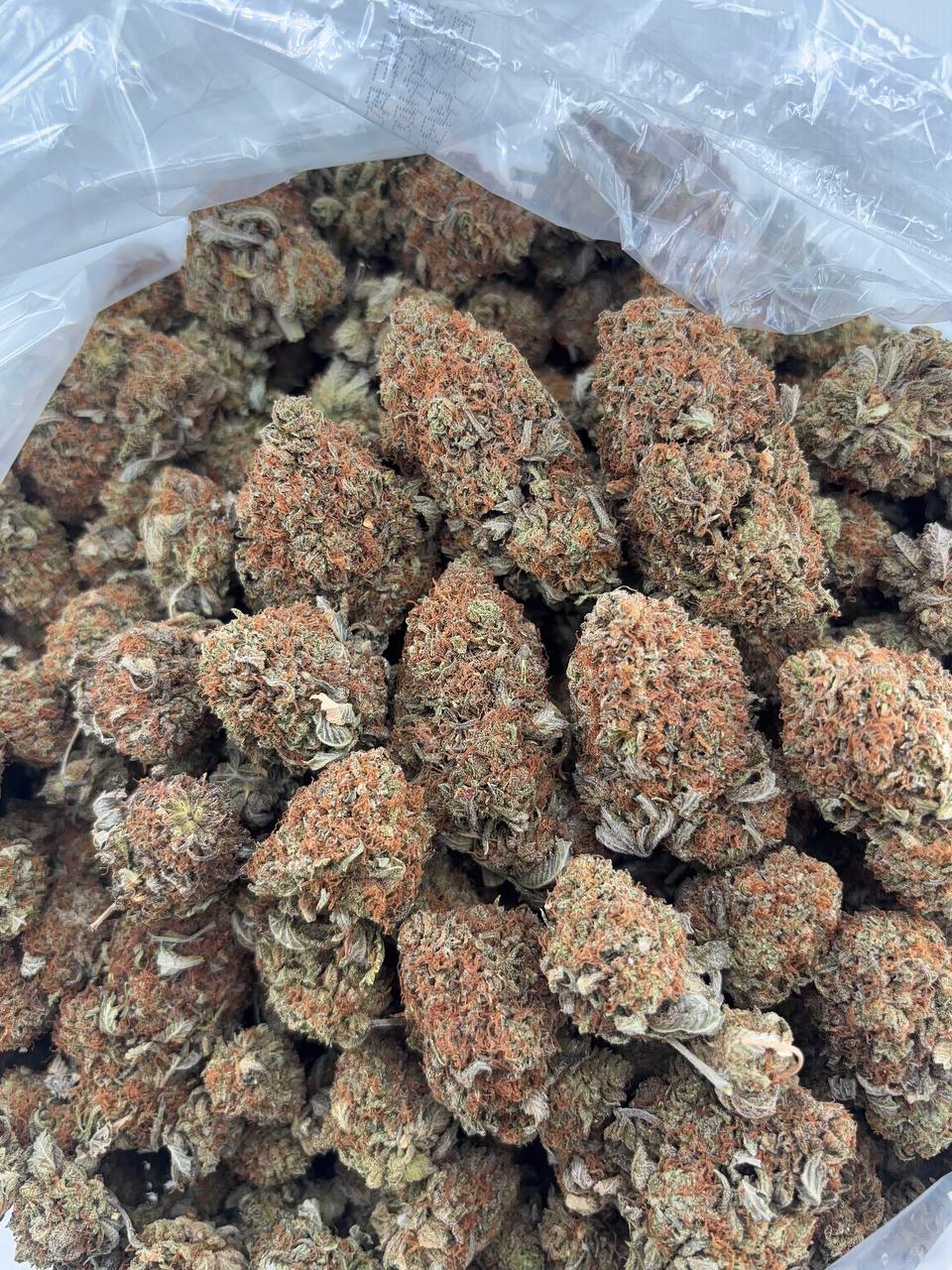 •$675/699 #GG678 - Orange bubba (NO ADDITIONAL PROMO)