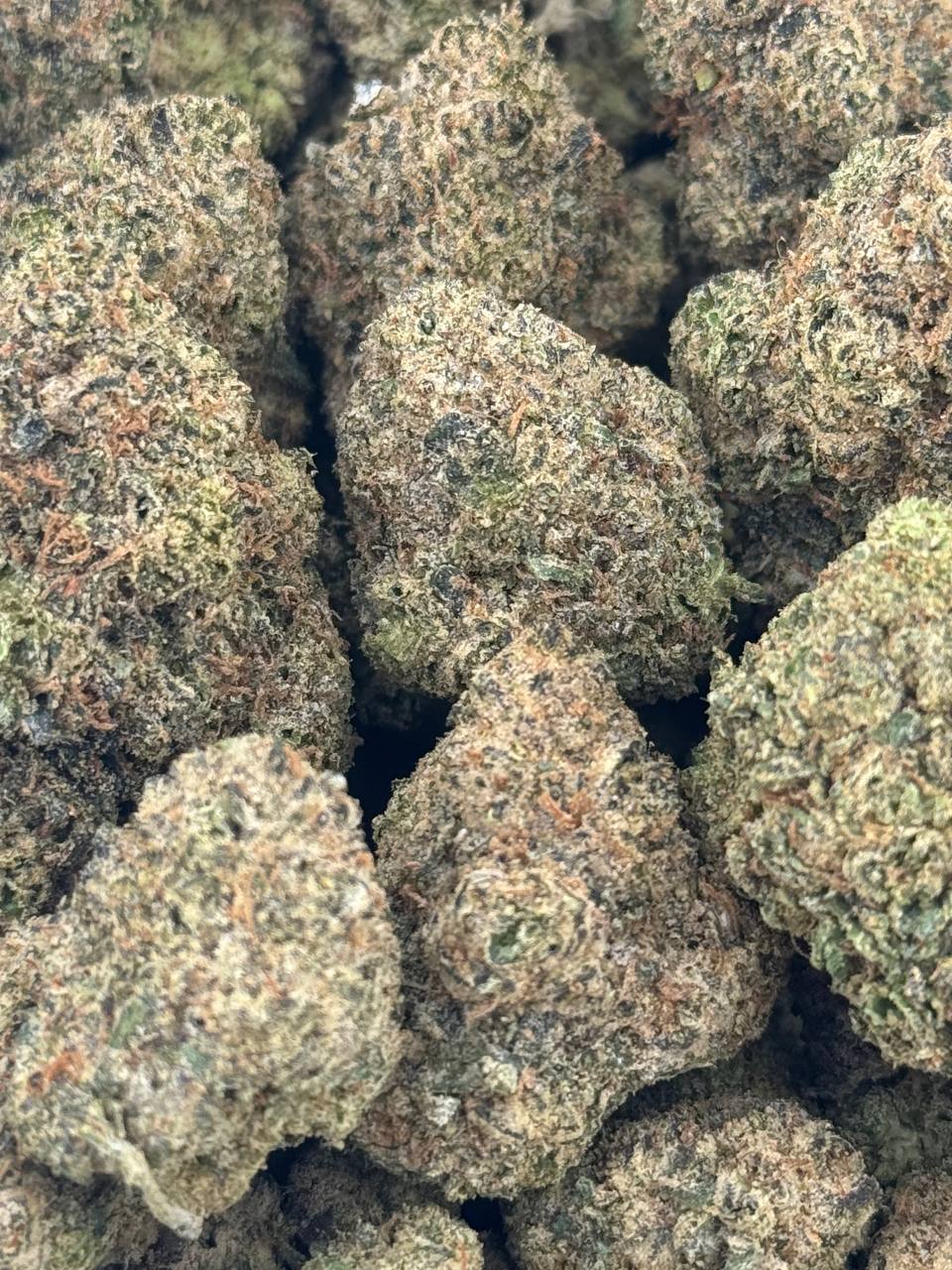 •$700/725 #GG682- Lemon Cherry gelato (no additional promo)