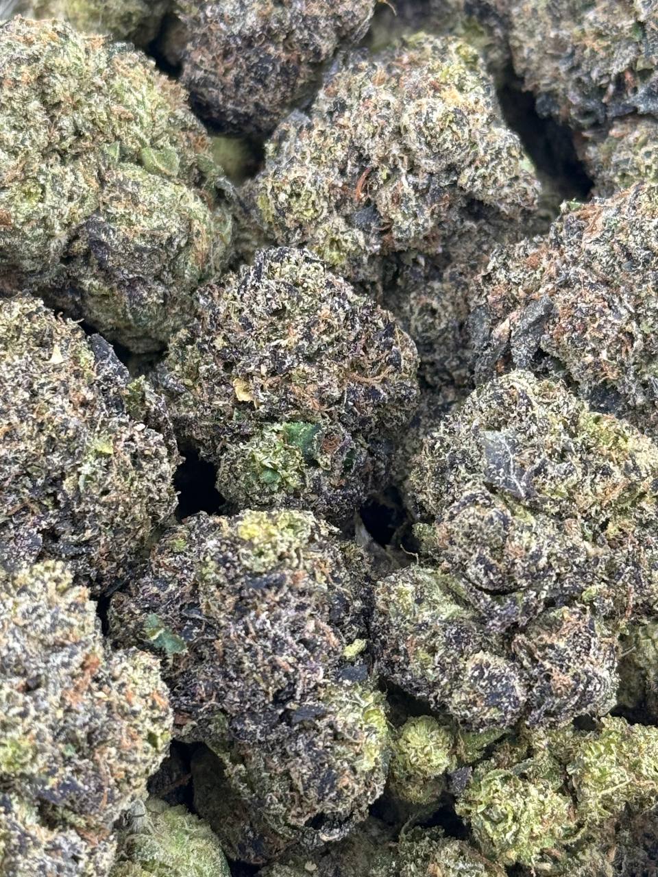 •$749/774 #GG684- Candy skittles (no additional promo)