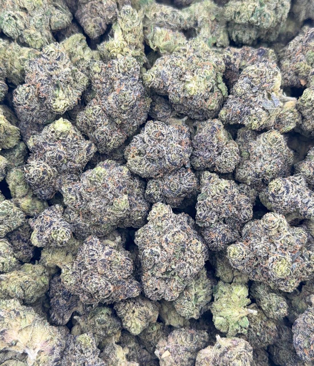 •$749/774 #GG686 - Zuper Bubblegum (no additional promo)