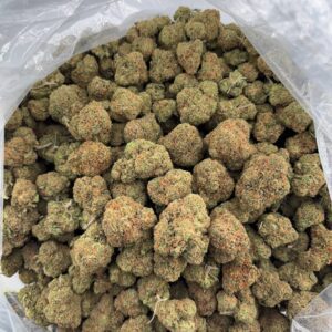 • 525/550 #GG624 - Candy Gas    (No additional promo)