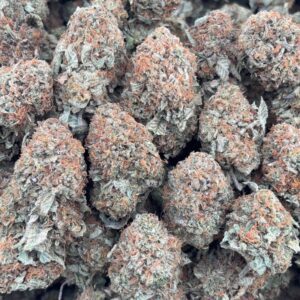 • 725/750 #GG626 - indoor bubba