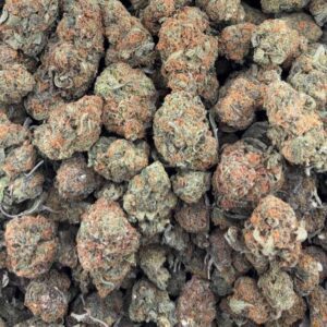 •525/550 #GG630 - Indoor bubba 🔥🔥🔥 (no additional promo)