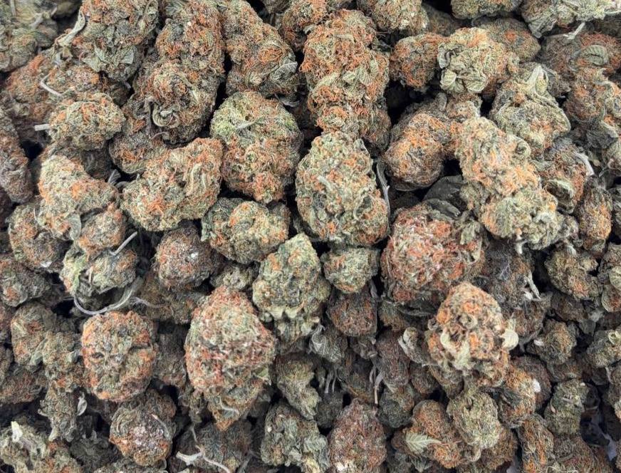 •525/550 #GG630 - Indoor bubba 🔥🔥🔥 (no additional promo)