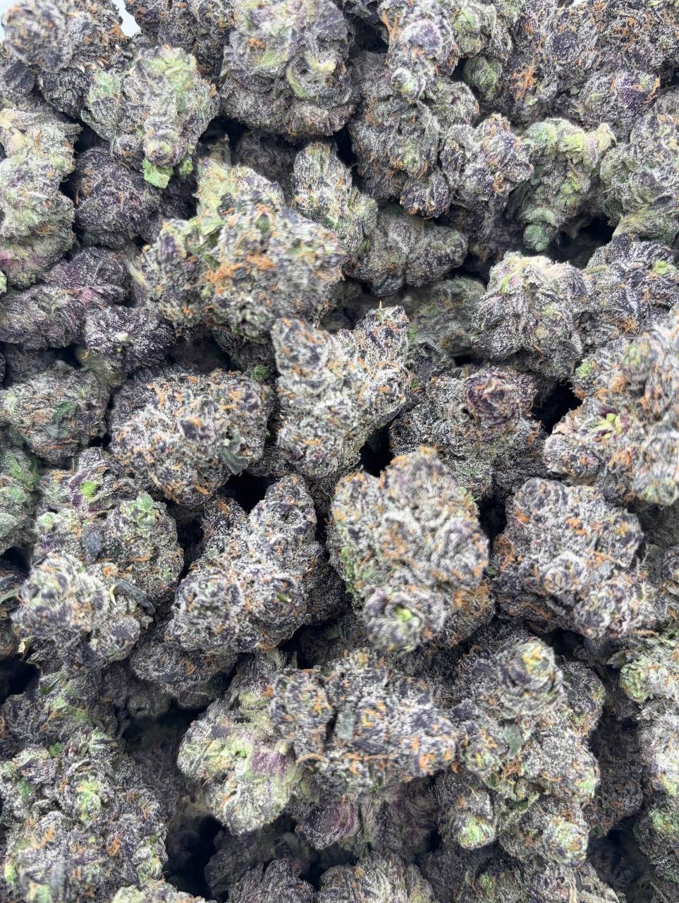 •1175/1199 #GG640 - Cherries 🍒