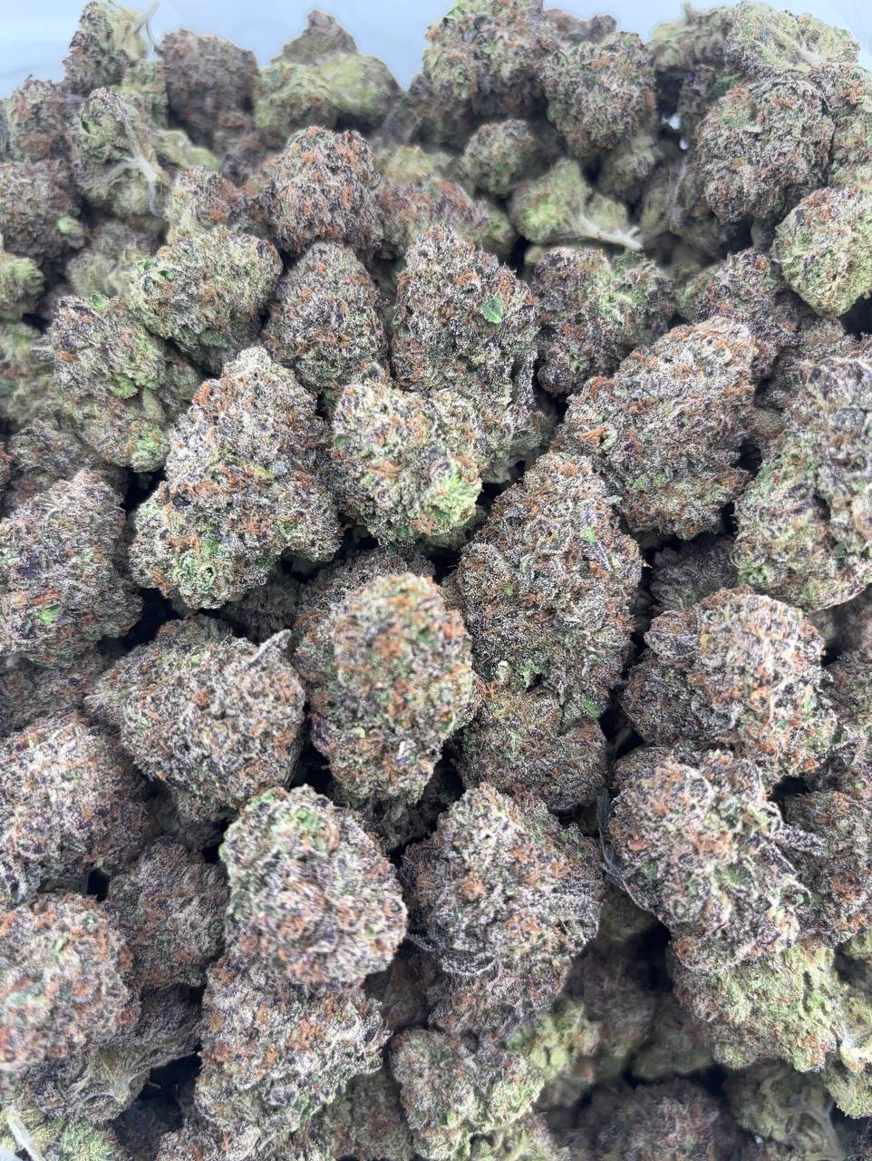 •750/775 #GG650 - Candy Zashimi 🔥🔥🔥🔥